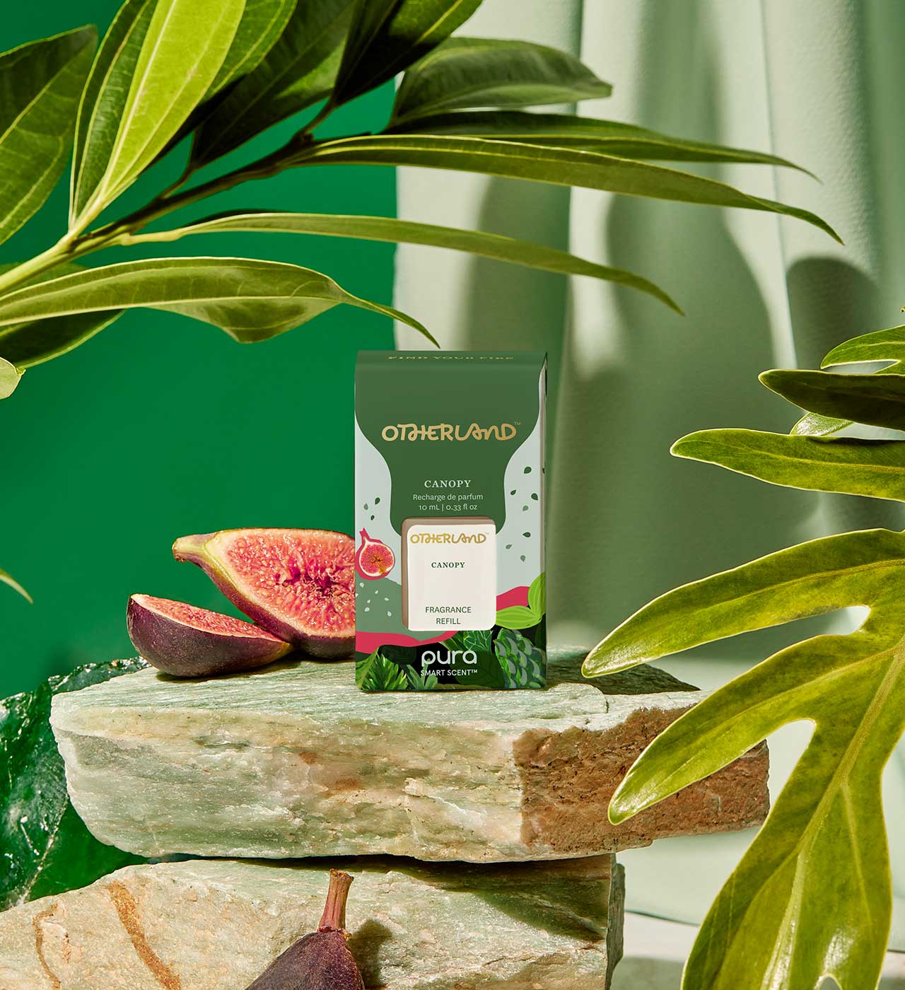 Otherland Organic Canopy tea package with figs on a stone surface surrounded by green leaves.