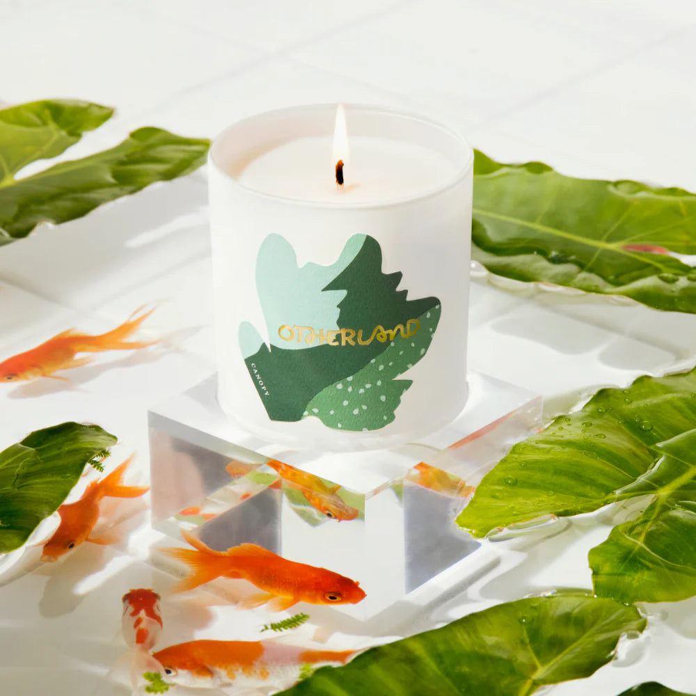 Canopy candle on a glass surface with fish and lillypads underneath